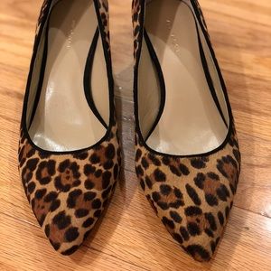 Ann Taylor Bette pump Leopard print shoes